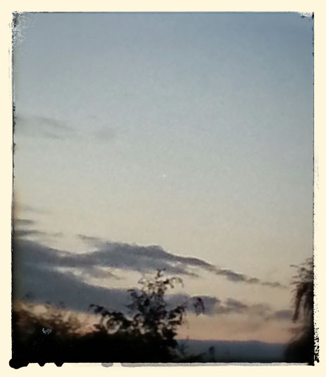 Stern am Morgen