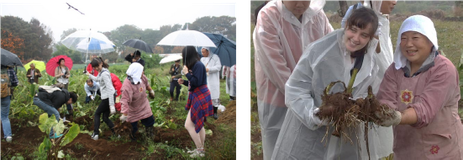 左は傘をさす大勢で賑う畑。右は収穫物を手にする二人。