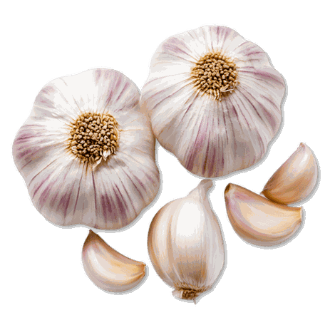 Ail; rose; rosa; Knoblauch; geräucherter; Frankreich; Nordfrankreich; Knobi; Knolle; Kibu; Kibü; Würze; KibüWürze