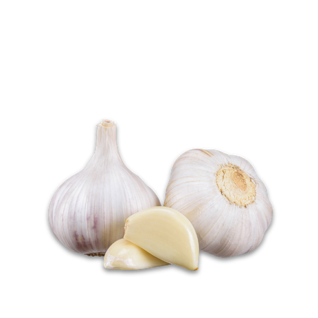 Lagerknoblauch; Knoblauch; Knoblauchsorten; Knobi; Knolle; Kibu; Kibü; KibüWürze