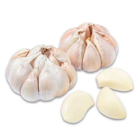 Elefantenknoblauch; Knoblauch; Knoblauchsorten; Knobi; Knolle; Kibu; Kibü; KibüWürze