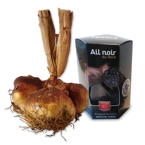 Knoblauchspezialitäten; Knoblauch, Spezialität; geräuchert; schwarz; Ail, fume; fumé; noir; Frankreich; Nordfrankreich; Knobi; Knolle, Kibu; Kibü; KibüWürze