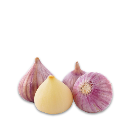 Soloknoblauch; Monoknoblauch; Knoblauchsorten; Knobi; Knolle; Kibu; Kibü; KibüWürze