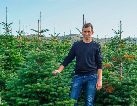 Weihnachtsbäume so weit das Auge reicht: Jörg-Ulrich Schaal in einer Kultur