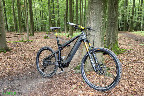 Erzberg e-Mountainbike von M1-Sporttechnik