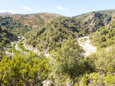 Blick auf den Riu Calaresu