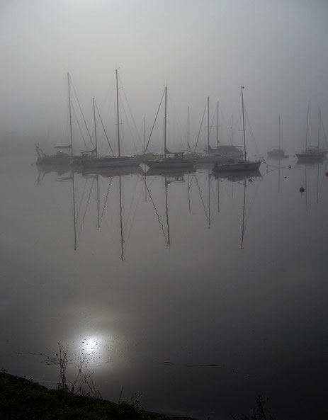 La Rance dans le brouillard