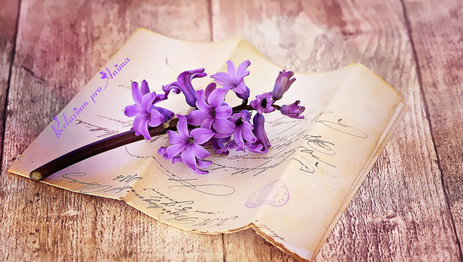 Reiki-Anwendung, Reiki-Fernanwendung, Relaxium Pro Anima, #Reiki, #Quantenheilung, #Schamanismus
