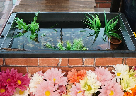 TALEX（トゥルービュー）着用後