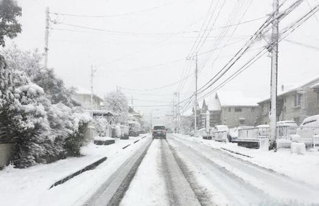 雪道