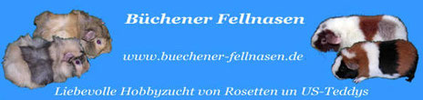 http://www.buechener-fellnasen.de/