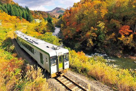 写真提供:魚沼市観光協会