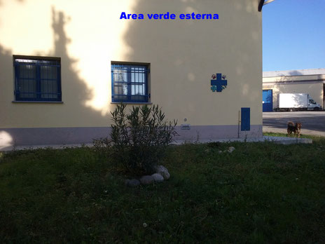 GIARDINETTO INTERNO CORTILE