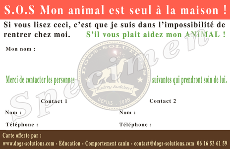 Carte pour porter secour a votre animal en cas d'urgence
