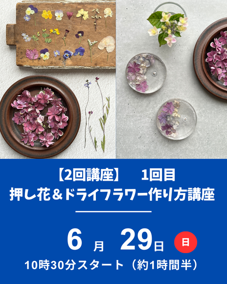 押し花＆ドライフラワー講座