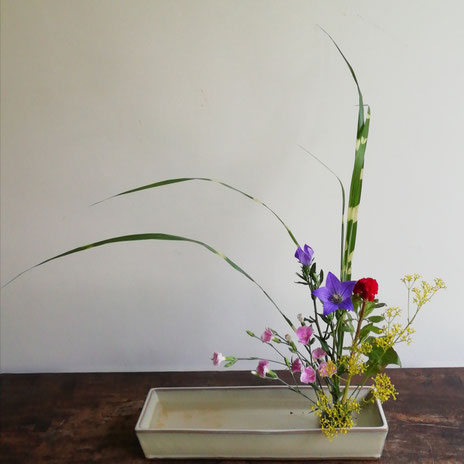 桔梗、撫子、尾花、女郎花、鶏頭/盛花