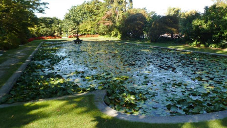 Bild: Park-City in Christchurch