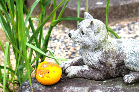 大岳院(鳥取県倉吉市 里見八犬伝) photo by mifumi