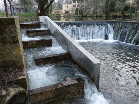 Décembre 2012, la passe à poisson fonctionne !