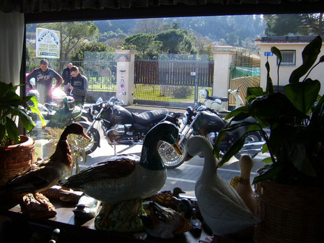 VISTE DA DENTRO IL RISTORANTE... UN BEL CONTRASTO CON LE PAPERE!