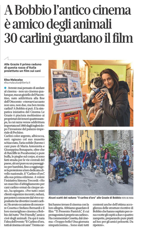 quotidiano Libertà - il carlino d'oro 