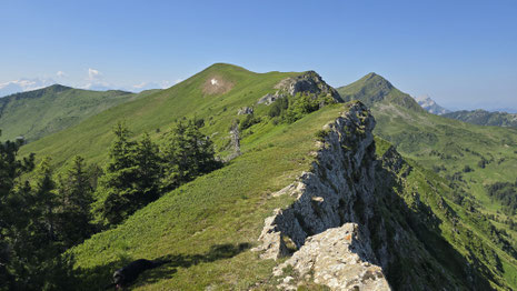 Wissguber, Rickhubel, Fürstein