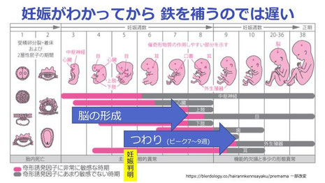 数値 貧血 貧血で輸血の数値とは？