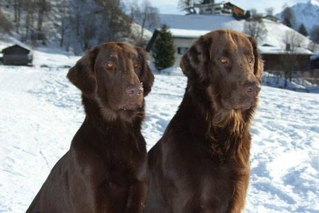 Foto: Januar 08