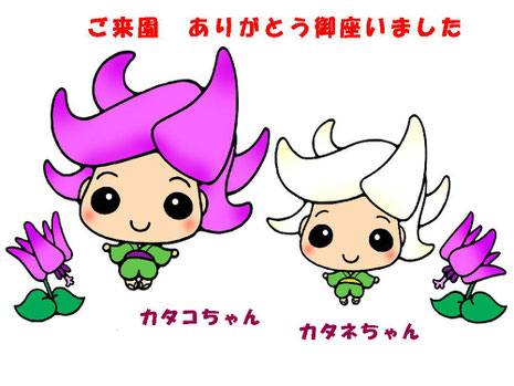 かたくり群生の郷キャラ カタコちゃん カタネちゃん
