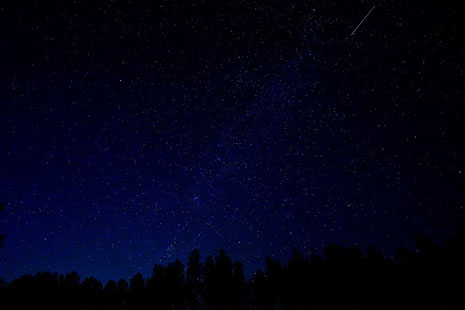 Lass dich bei der Sternschnuppennacht am 12.08.2021 in die Welt der Sterne entführen.