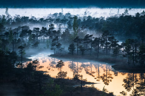 Magischer Moment vom lettischen Sonnenaufgang im Moor. (c) Ēriks Zilbalodis