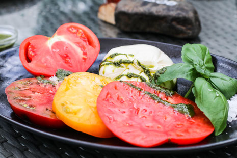 Bei einer Führung über die Farm können Naturliebhaber spannende Dinge über den Anbau von Tomaten und Gurken in Island erfahren - (c) Friðheimar-Farm
