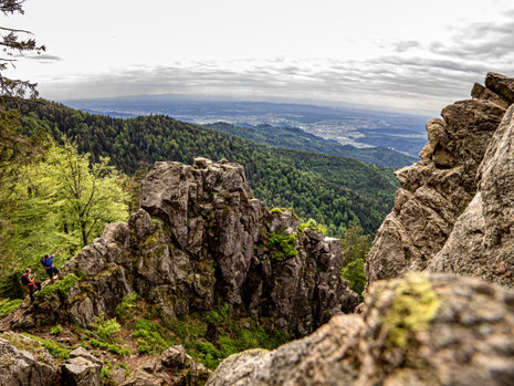 Kandel Zweitälersteig © Patrick Kunkel ZweiTälerLandTourismus