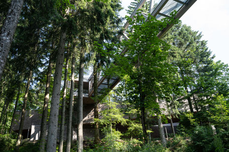 Nationalparkzentrum Ruhestein © Daniel Müller Nationalpark Schwarzwald