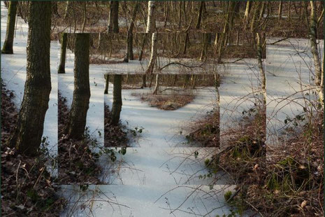 Drei Fenster Beversee: ein Landschaftsausschnitt (Fenster) in drei Größen übereinander gelegt - neue Ebenen, tiefere Einblicke 