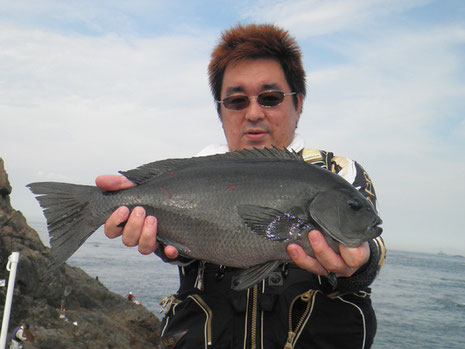 海苔を食ってくれました！！　48っす！