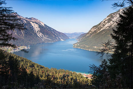 Blick vom Hügel über Wald auf Achensee Österreich 2026