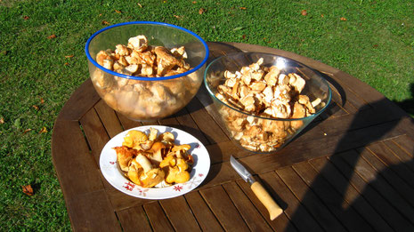 De quoi faire une belle assiette...