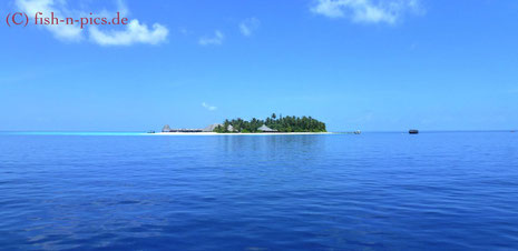 Sweet Home! Angaga - unsere kleine Insel