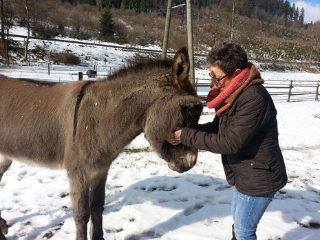 Esel-Therapie: Tiergestützte Interventionen mit Eseln in Bad Berleburg, Naturpark Sauerland-Rothaargebirge