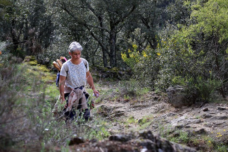 Un sherpa pas cher (16 km d'essence économisés)