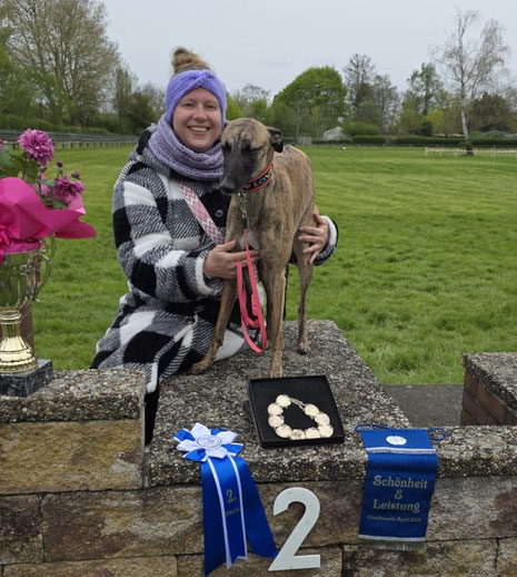 Ava vom Eichelbergturm (Püppi) - *24.4.2024 Whippet Hündin, Besitzerin Ronja Hartmann
