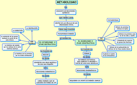 MAPA DE METABOLISMO