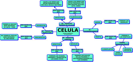 MAPA CLASES DE CELULAS