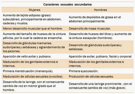 Caracteres Sexuales Web Itif Centrobiologia