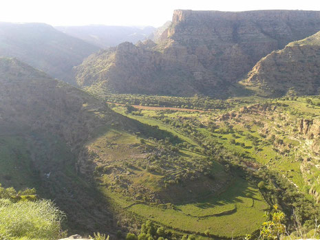 çîya ye Dorika le Bazgure