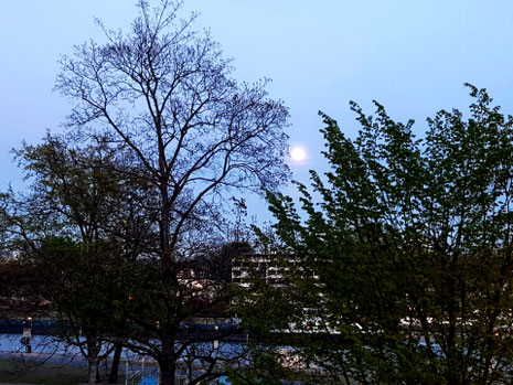 Vollmond über Sachsenhausen