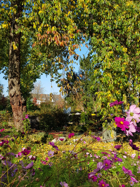 Ein tröstlicher Ort, der kleine Friedhof in Niederhöchstadt