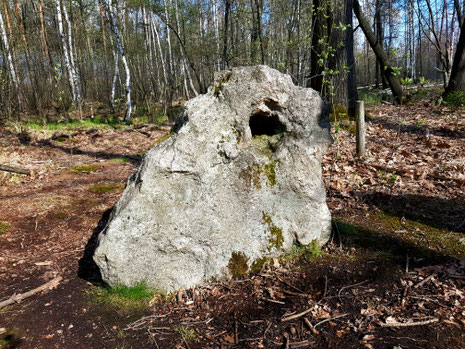 Lochstein im Thümmlitzwald