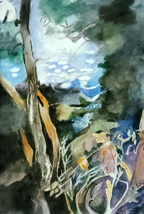 14.   2023 : View from the Hermitage 